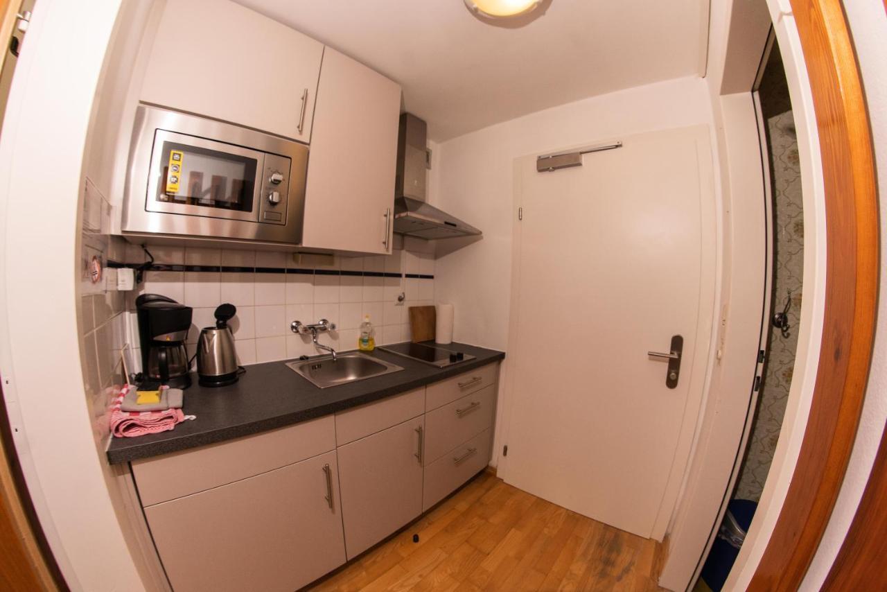 Apartmenthaus Edelweiss In ゴーザウ エクステリア 写真
