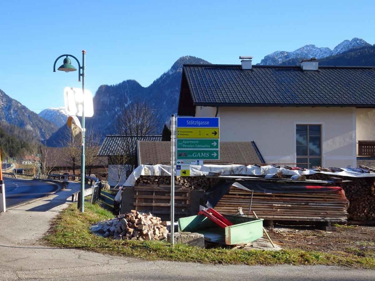 Apartmenthaus Edelweiss In ゴーザウ エクステリア 写真