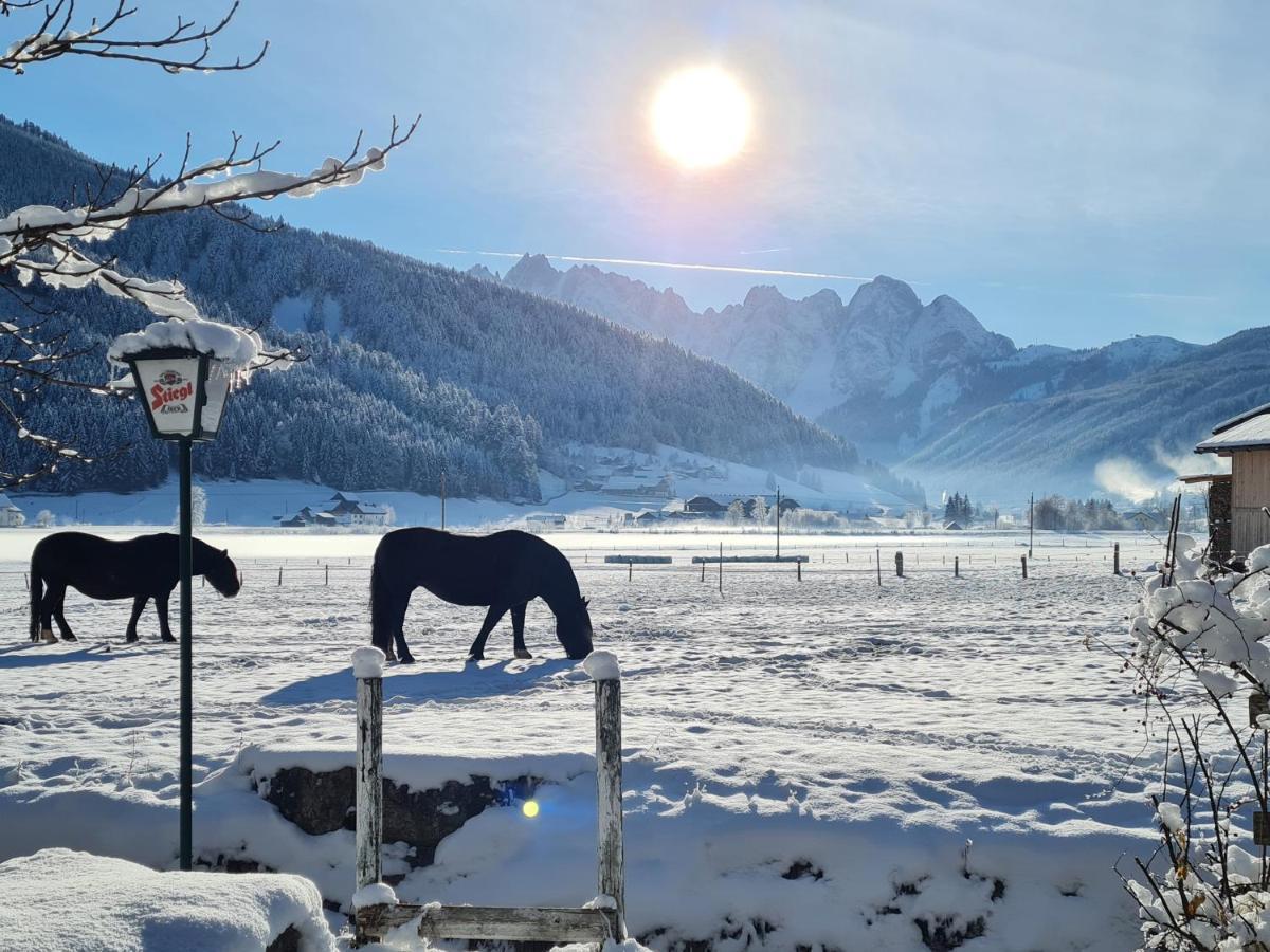 Apartmenthaus Edelweiss In ゴーザウ エクステリア 写真