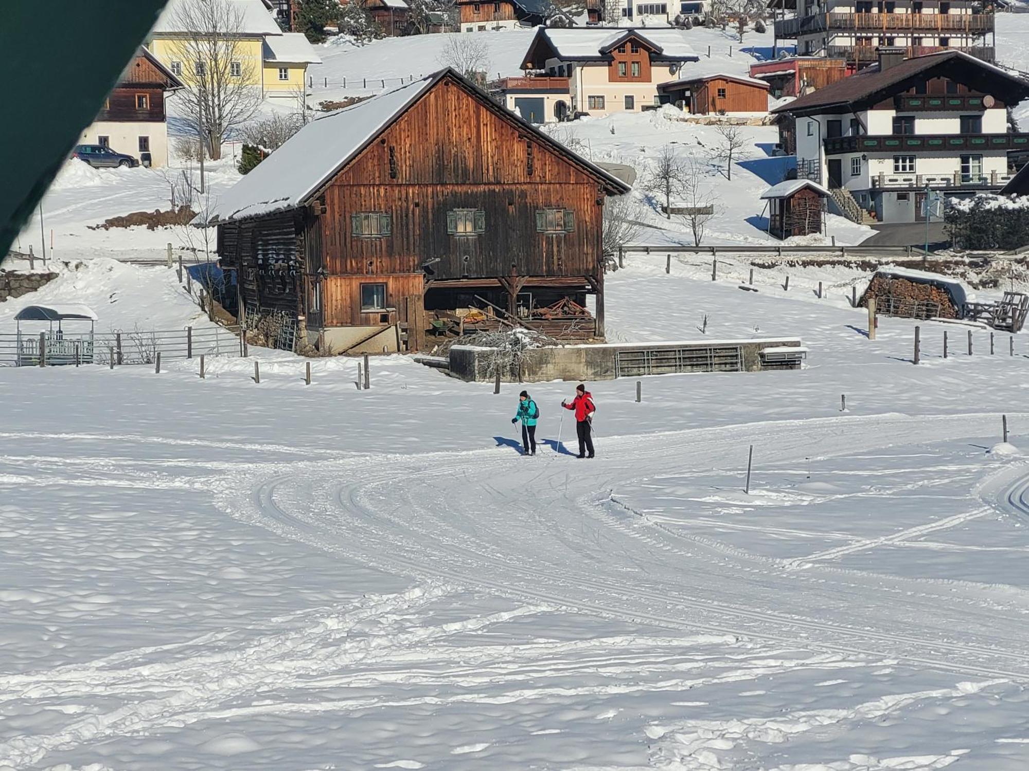 Apartmenthaus Edelweiss In ゴーザウ エクステリア 写真