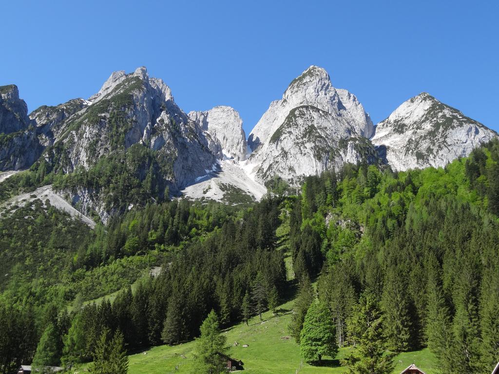 Apartmenthaus Edelweiss In ゴーザウ 部屋 写真